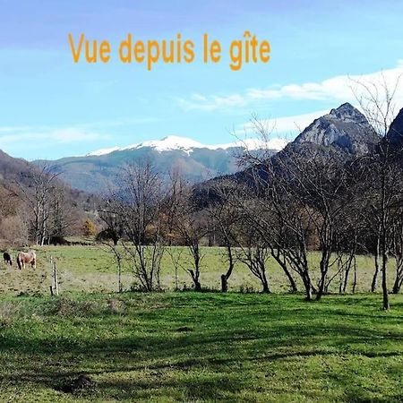 Villa Grange En Pierres. Grand Jardin Et Belle Vue Saurat Exterior foto